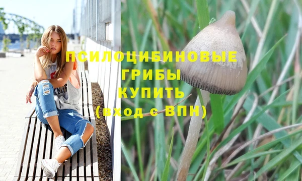 гидропоника Баксан