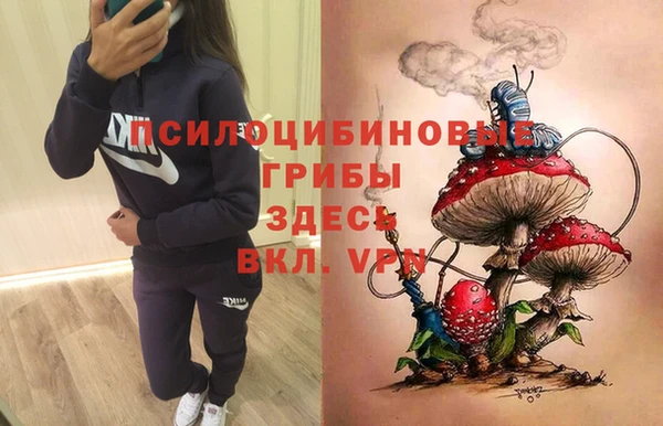 гидропоника Баксан